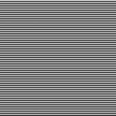 496x496