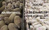 980x610