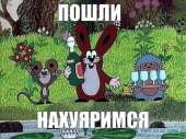 660x495