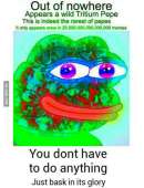 477x620