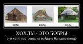 800x425