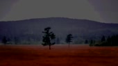 1280x720