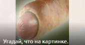 239x129