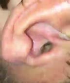 306x360
