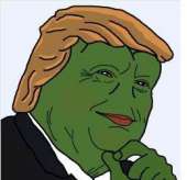 259x251