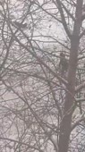 360x640