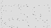 500x280