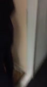 262x480