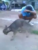 304x400