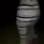 360x360