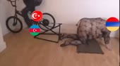640x354