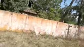 960x540