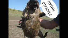 640x360