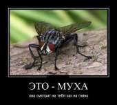 700x629