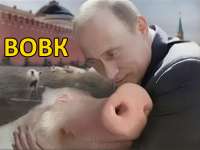 800x600