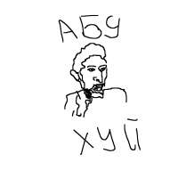 43