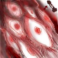 400x400