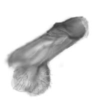 400x400