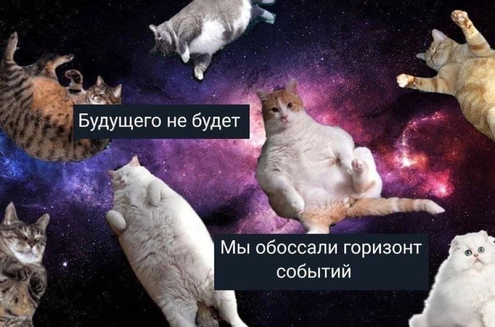 1003x664