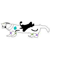 400x400