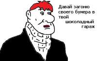 492x310