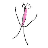 400x400