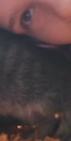 720x1424