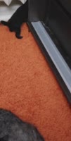 720x1424