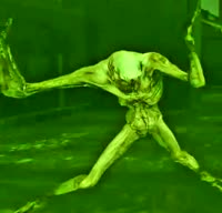 498x480