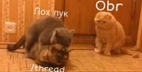 1920x988