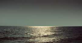 1497x800