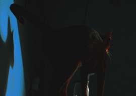1202x853