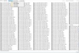 1273x862