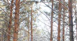 1608x873