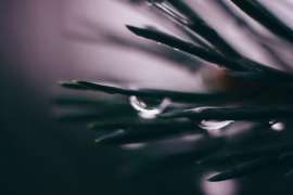 1350x900