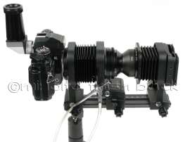600x450