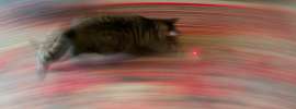 1200x447