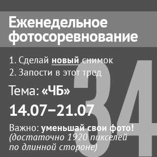 320x320