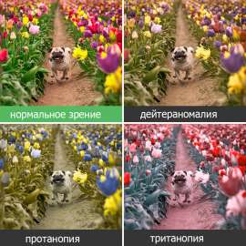 880x880