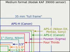 490x368