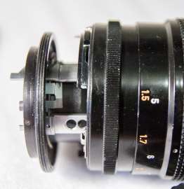 973x1000