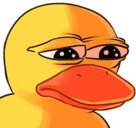 526x498