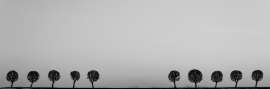 1280x426