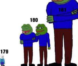 460x388