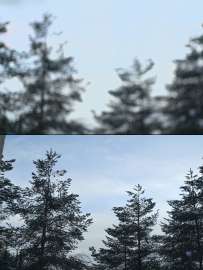 2340x3108
