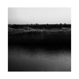 1000x1000