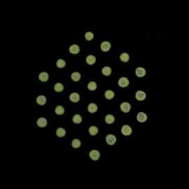 850x850