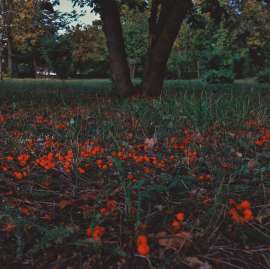 1937x1936