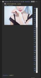 433x819