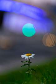 1200x1800